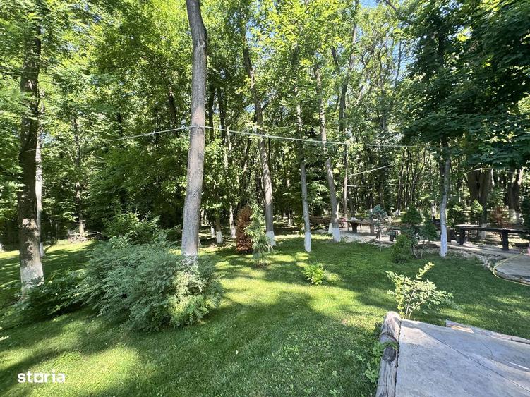 Vila 7 camere cu iesire in padure gata de mutare - 2