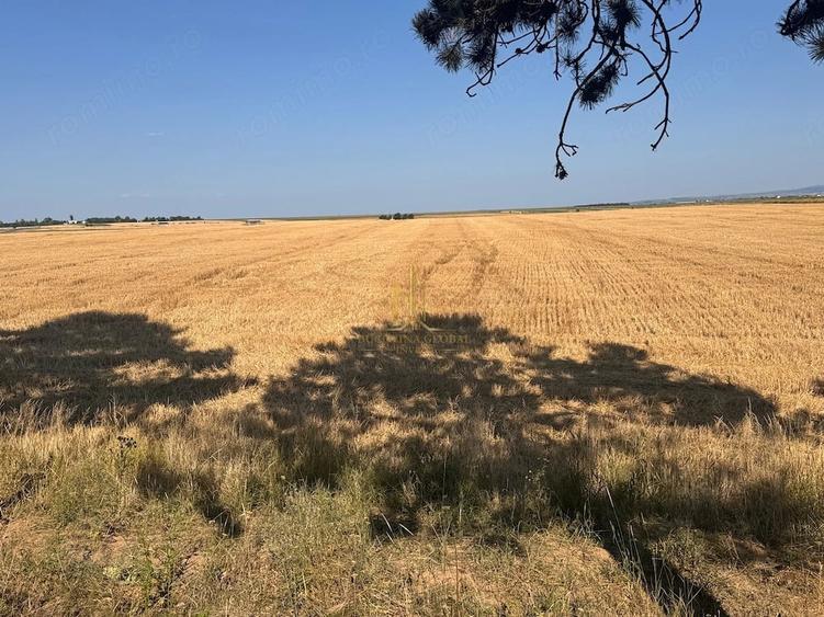 Teren de vanzare 10.200 mp, PlopeniSalcea, zona Aeroportului Suceava - 3