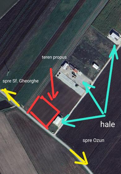 Teren Construcții intravilan de 6300 mp, în Ozun