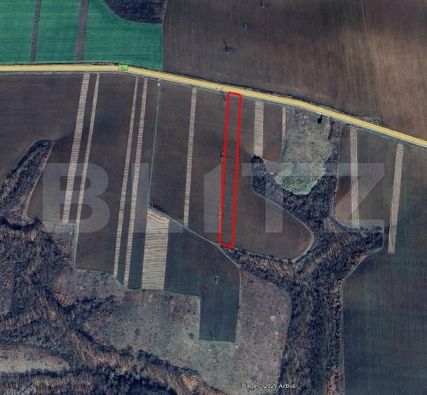Teren agricol extravilan de 14000 mp, în Podari