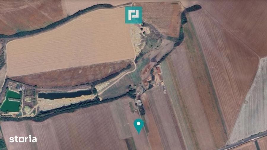 Teren de 10000 mp, în Zădăreni