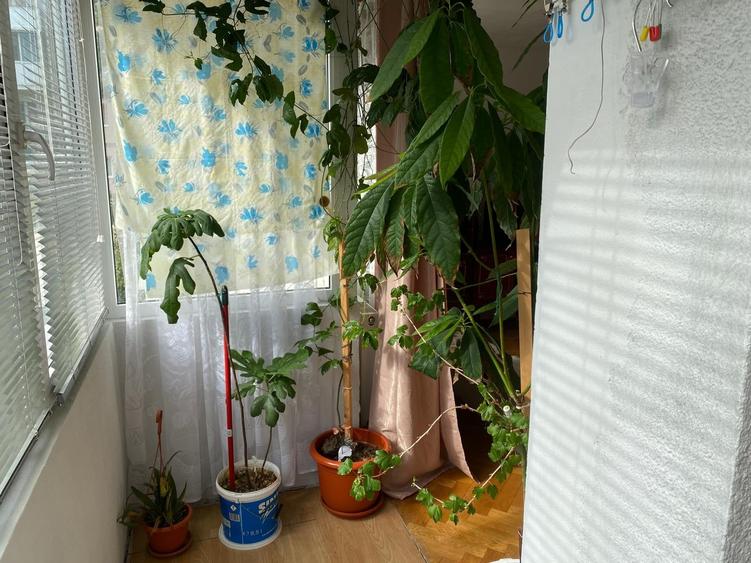 Apartament cu 3 camere decomandat în Ștrand