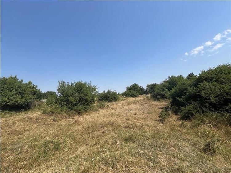 Teren Construcții intravilan de 2337 mp, în Tileagd