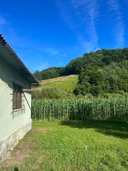 Casa + teren + padure sat Moliset, jud Bistrita Nasaud - 1