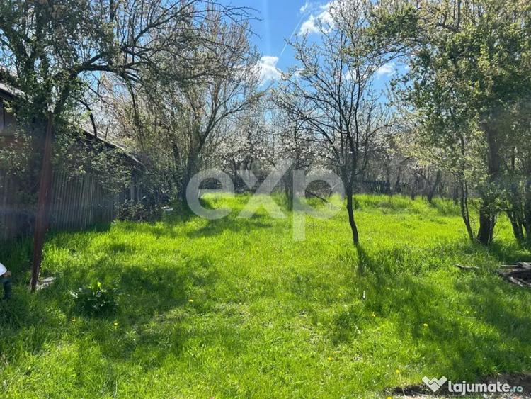 Casa la ?ara cu teren 3940 mp ?i livada zona lini? - 8