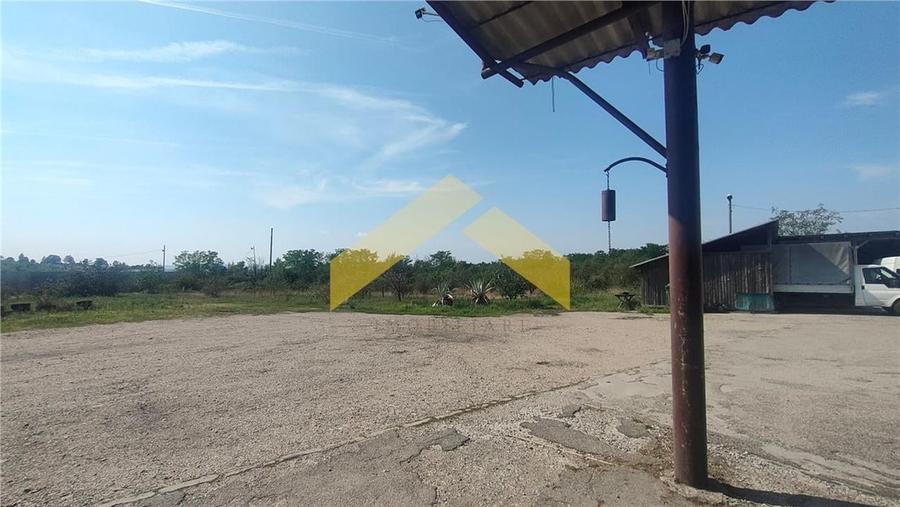 Teren 1,8 ha plus cladiri de vanzare in localitatea Sebis, Arad - 4