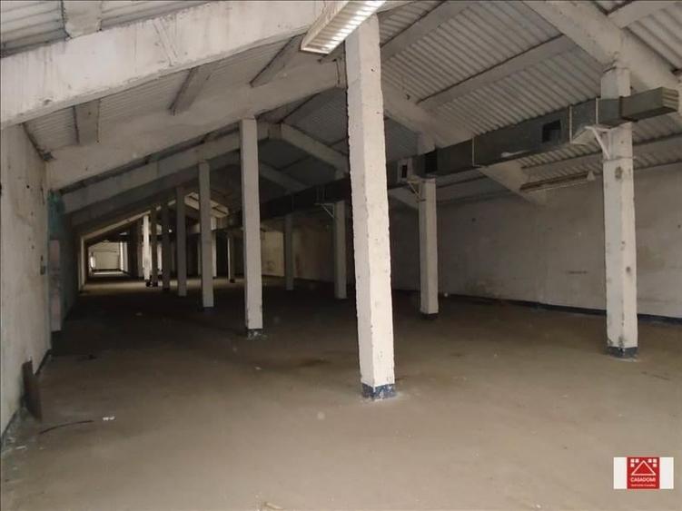 Hala de depozitare, Aradul Nou - 4