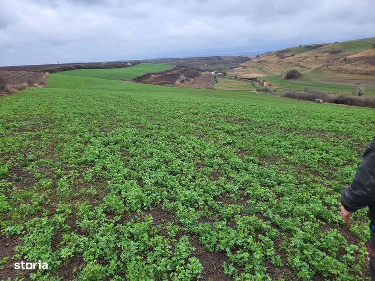 Teren Ocna Sibiului( investitie) - 2