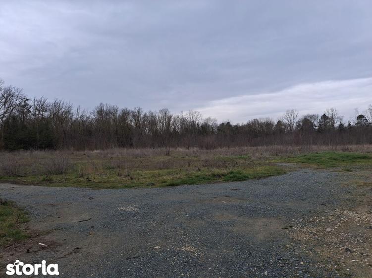 Neptun teren intravilan construibil 1750 mp - 10