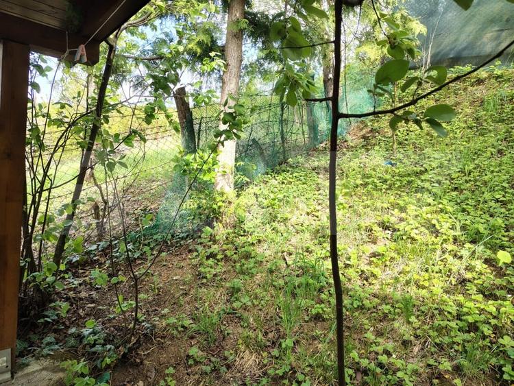 Casă individuală aproape de lac, 4 camere, priveliște superbă, Sacalaia - 16