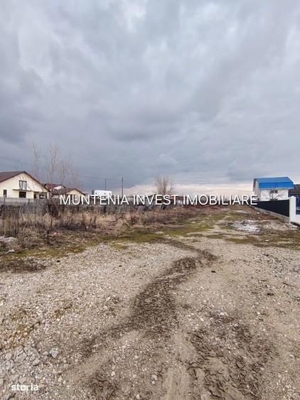 Oferta pretabil investitie! Teren 7000 mp. Bradu, stradal - 2