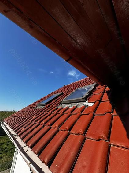 Vila cu livada Paulis, Arad - 5