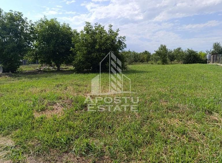 Teren intravilan in vatra satului Giarmata Vii de 683 mp - 1