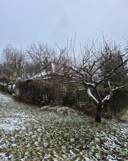 Coas, cabana, 28 ari teren - 4