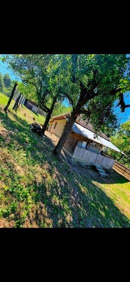 Gospodarie plus terenuri de vânzare  - 2