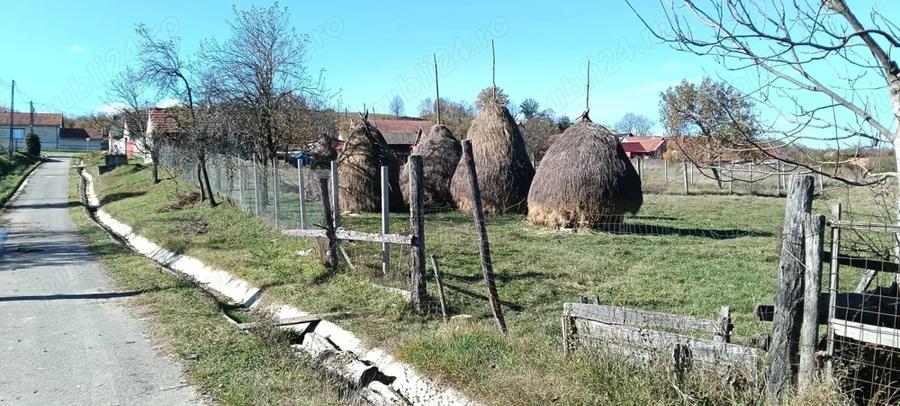 Vand casa batraneasca nelocuibila + teren intravilan 4.316 mp Comuna Ezeri? - 3
