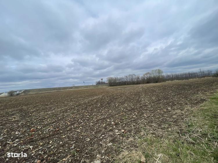 Teren Intravilan | 50 Ari | Zona Periferica Radauti - 7