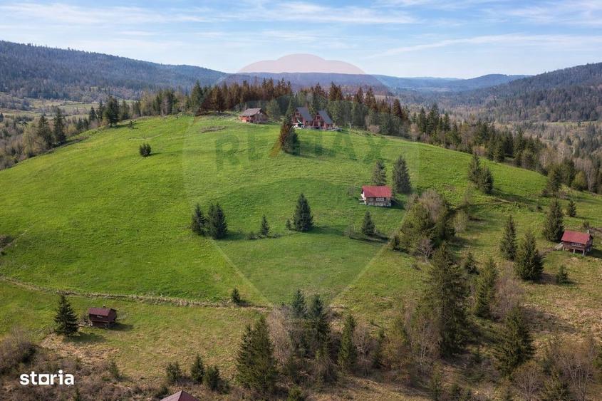 Teren de vanzare in inima Apusenilor 6.500 mp Arieseni - 8