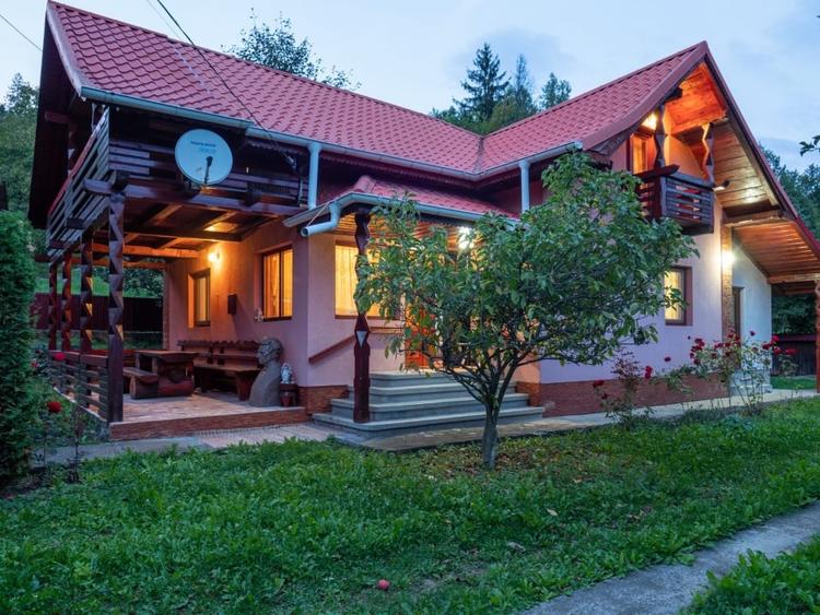 CASA INDIVIDULA CU ETAJ, MOBILATA SI UTILATA, 735 MP TEREN, ACTE LA ZI, SUCEVITA - 1