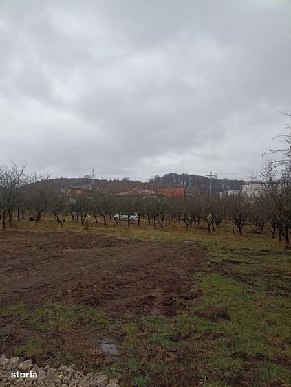 De vanzare teren intravilan in Sfantu Gheorghe - 6