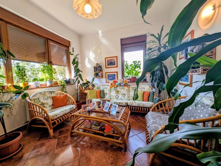 Jiului-Coralilor-Damaroaia,eleganta,robusta,garaj,curte intima,vegetatie matura - 17