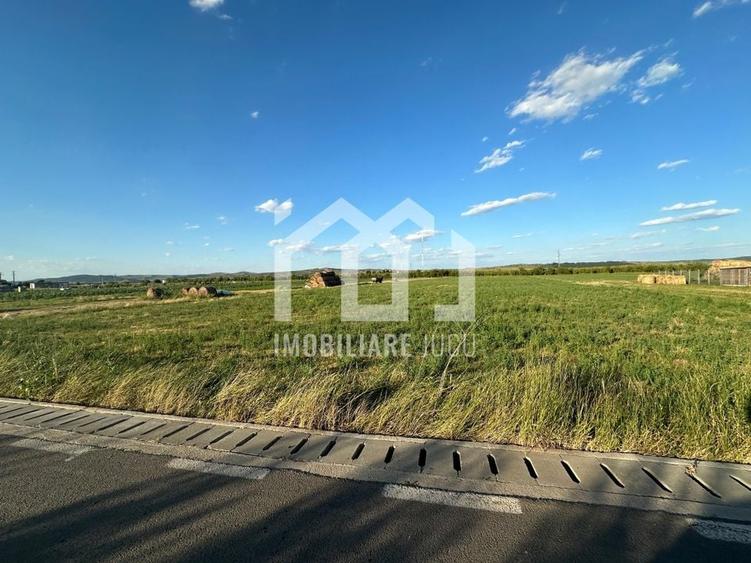 Teren INT construcție duplex / case cuplate 1503 mp - Jucu de Sus - 4