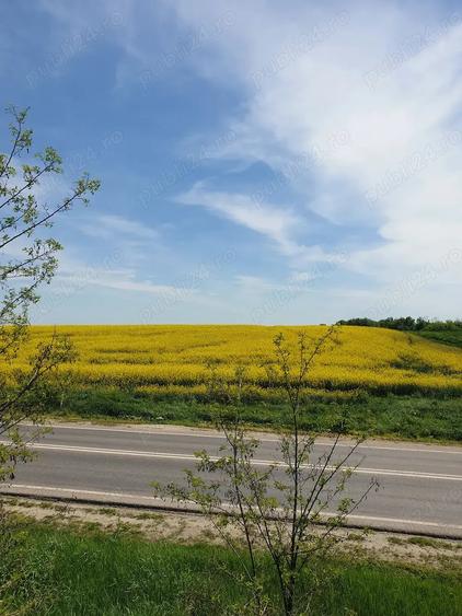 Teren de 32400 mp, în Valea Plopilor
