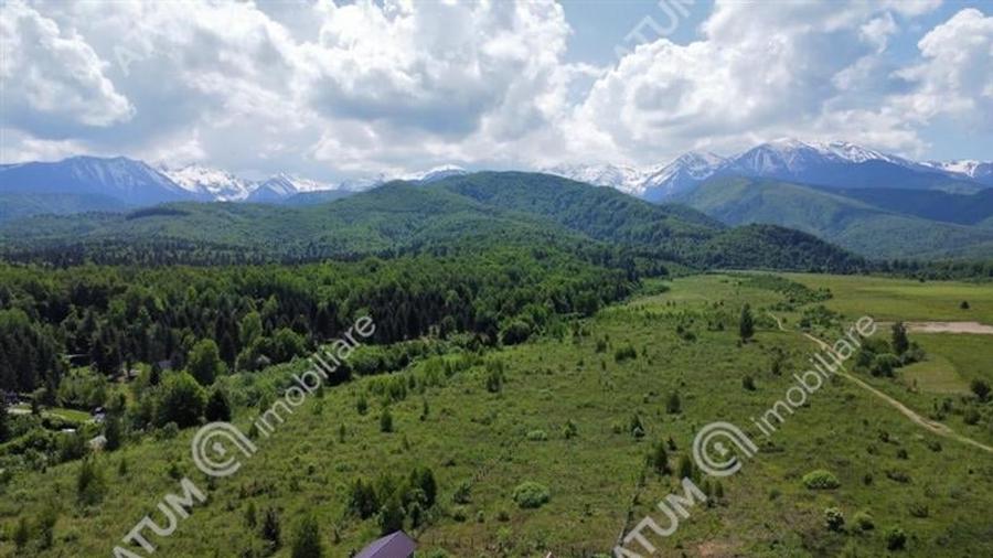 Teren Intravilan in Avrig zona Valea Avrigului 8900 metri - 4