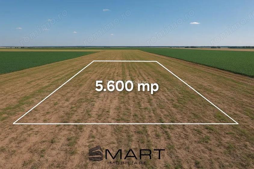 Teren extravilan 5600mp Daia Romana - Alba