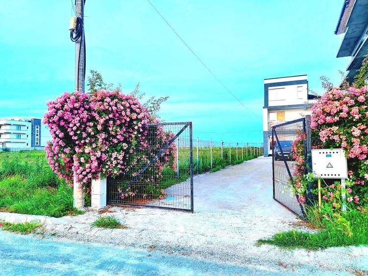 Vila Golful Francez Costinesti Nibiru - 5