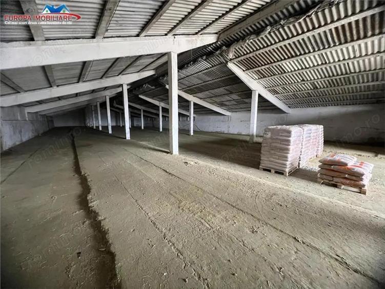 Hale de inchiriat localitatea M. Kogalniceanu Tulcea - 4