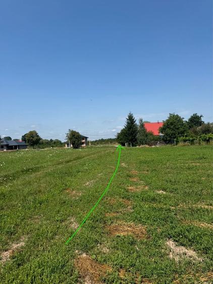 Teren intravilan de vanzare 90 ari Comuna Horonic de sus - 4