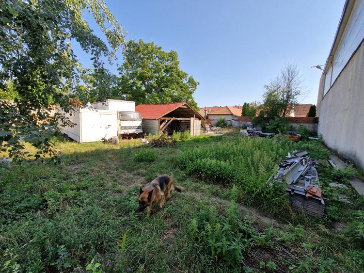 Teren Intravilan Centru Sanpetru Toate Utilitatile - 1