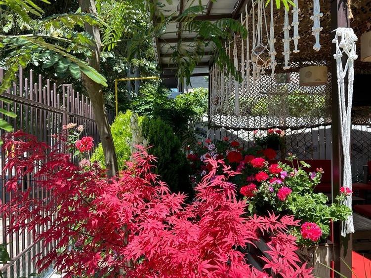 Ultracentral Pensiune Costinesti 19 Camere - 7