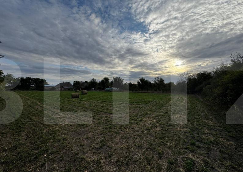 Casa 4 camere cu teren de 3892 mp - 2