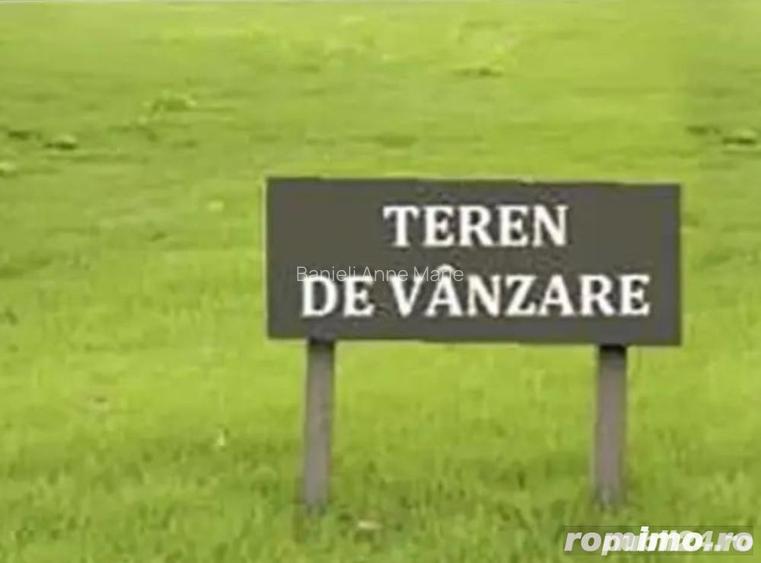 Mosnita Noua/teren- 2 ha  intre case/fs-50ml /pret 35 euro/mp