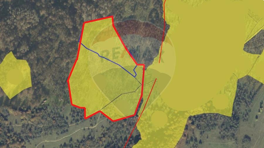 Teren 93.334 mp Ocna Sugatag, la Borcut - 1