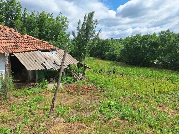 Vand casa plus teren - 4