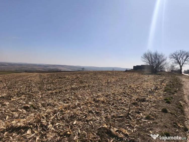 Teren 6500mp, 40ml deschidere la E85, Granicesti, Suceava - 2
