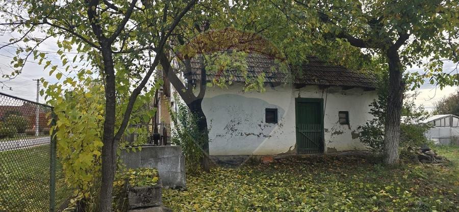 Teren generos cu potential în comuna Silindia, judetul Arad - 10