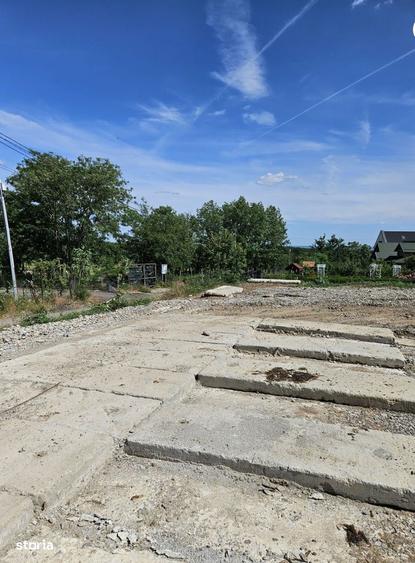 Teren Paulesti Prahova ,str.Retezat ,zona verde,orice activitati - 5