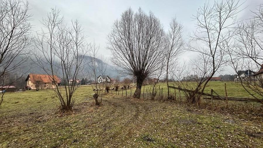 Teren Moieciu cu vedere catre Paitra Craiului - 7