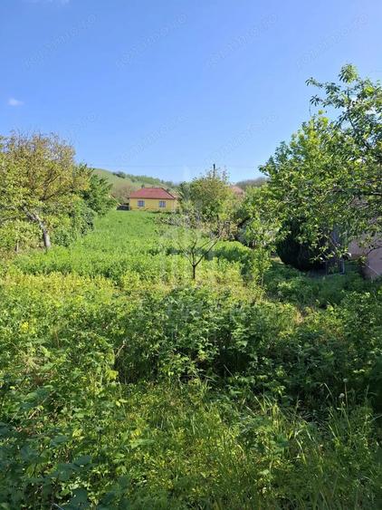 Casa cu doua corpuri de cladire ?i teren generos sat Boarta, jude?ul Sibiu - 2