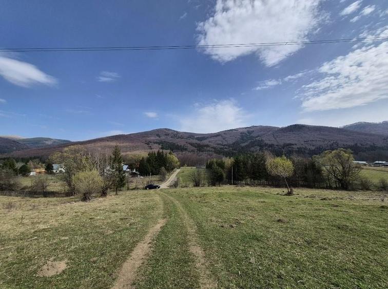 Teren intravilan la baza pădurii Valea Doftanei sat Traisteni (poduri) - 3