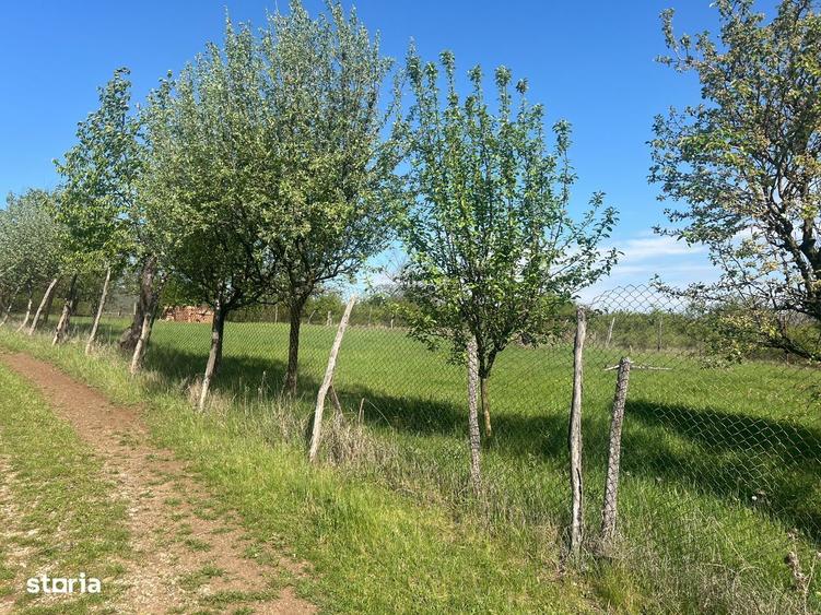 Teren cu vedere panoramica Str. Iris Alba Iulia - 5