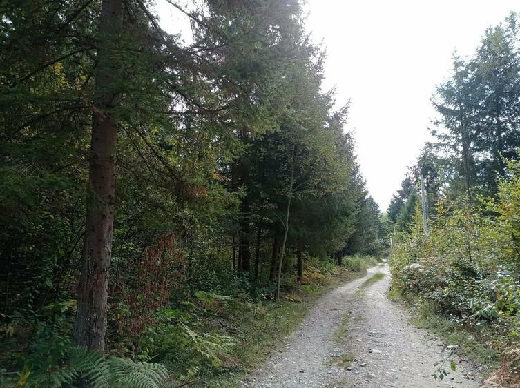 Teren intravilan de vanzare - 1