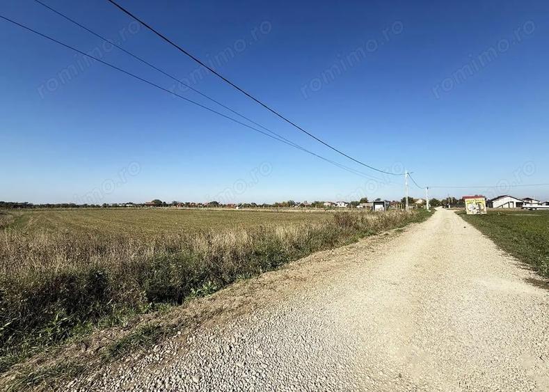 5000 mp. teren intravilan - Les - IMOBIHOR - 5