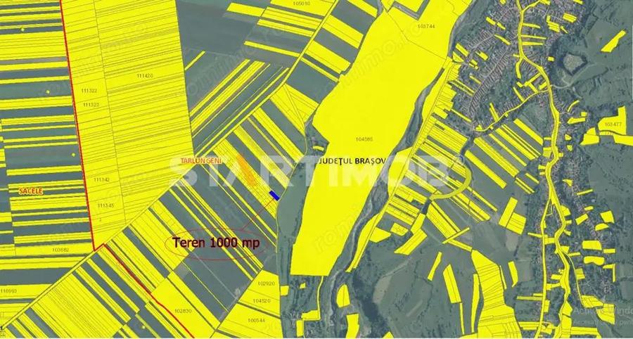 Teren Intravilan Tarlugeni - 4