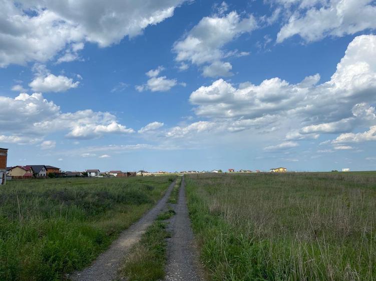 Teren de vanzare in comuna Berceni - 5