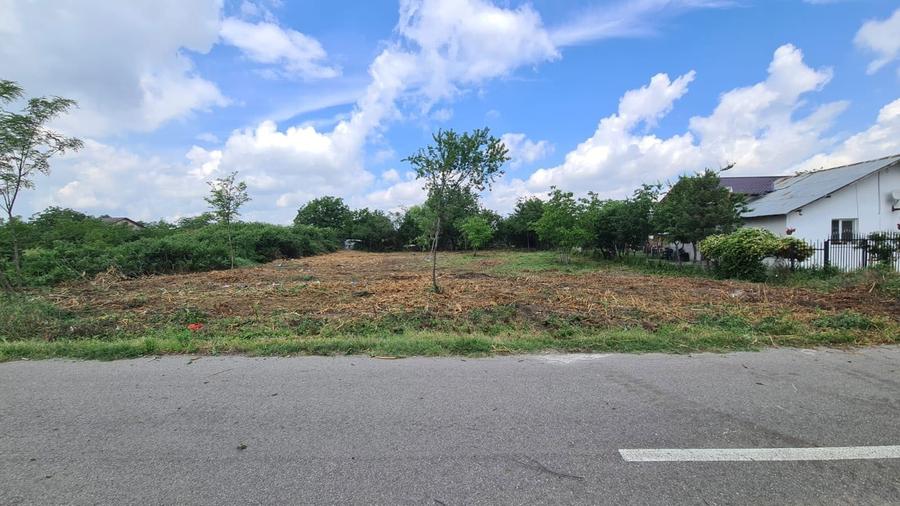 Teren 1274mp, sat Meri, comuna DRAGANESTI - 5